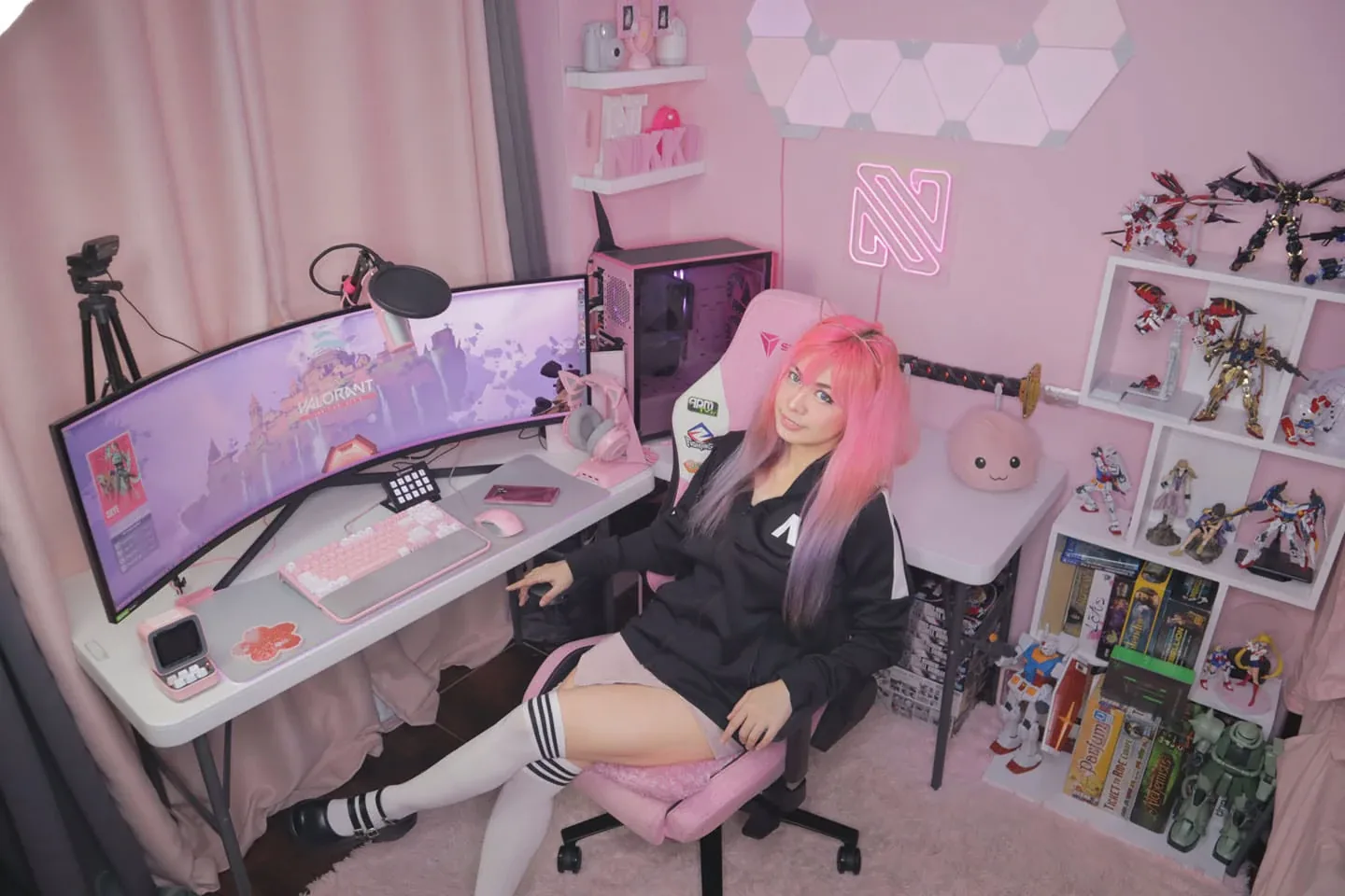 Nikkinikki · Partnered Creator · Novus Rising